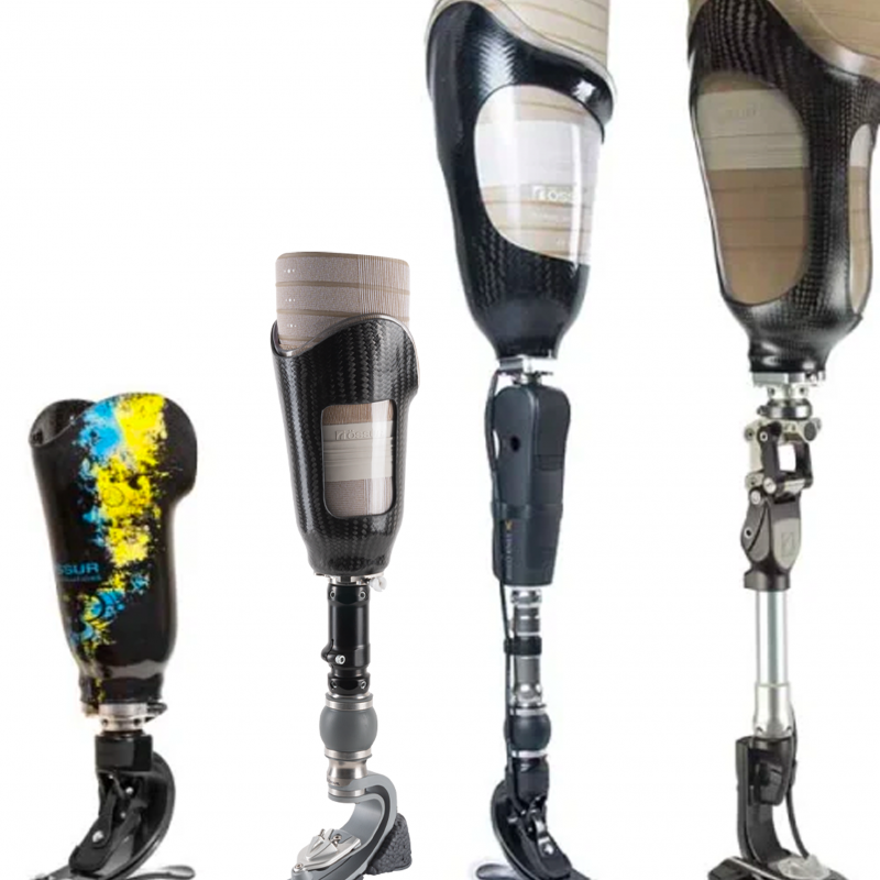 orthosis prosthesis main types orthosis prosthesis main types