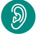 vestibular rehabilitation
